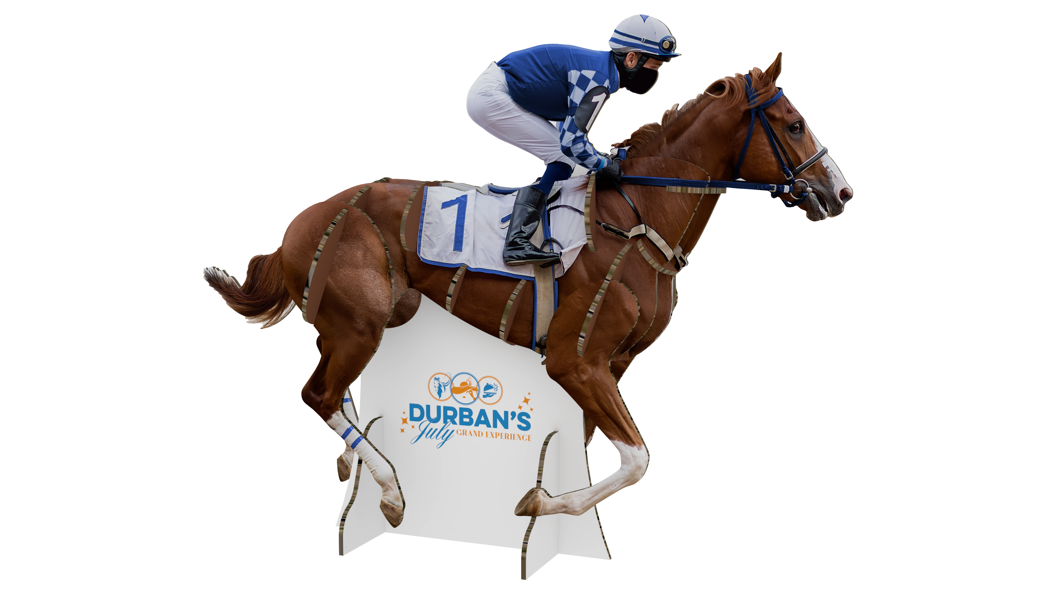 Marketingwell Durban July Horse