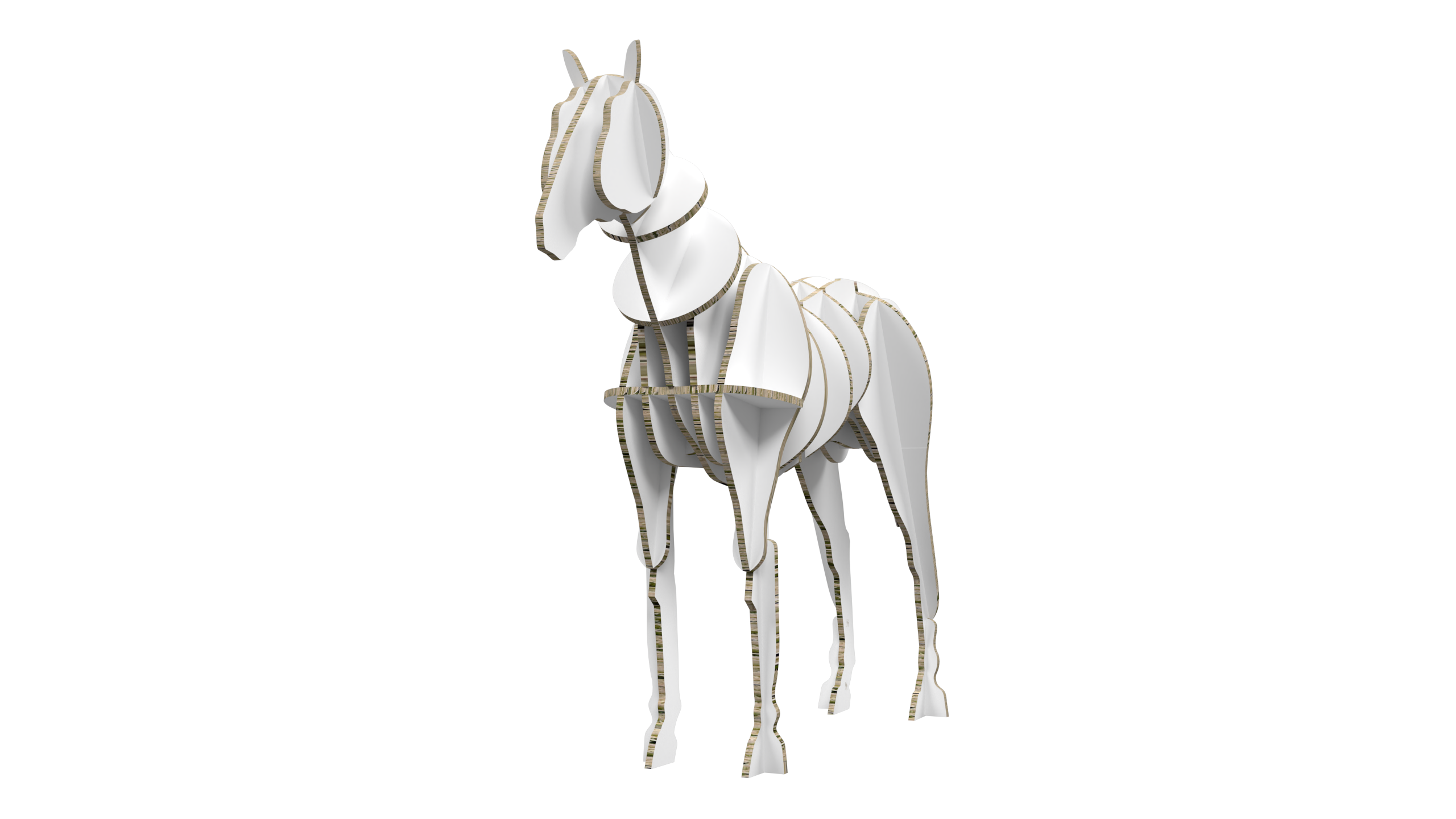 Horse Display
