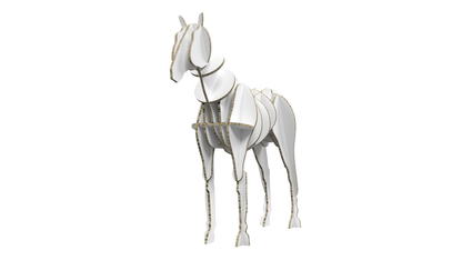 Horse Display