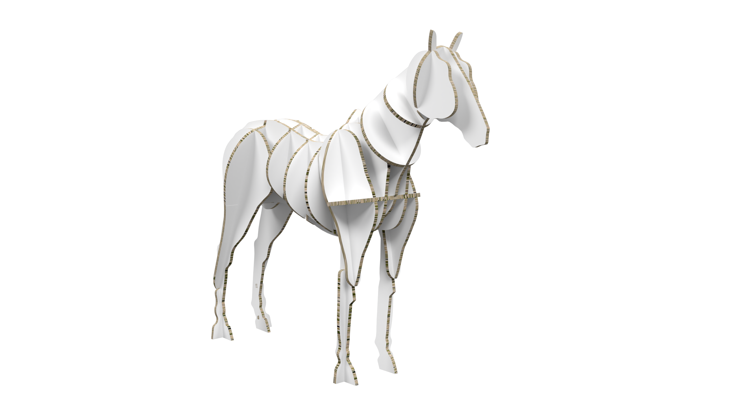 Horse Display