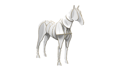 Horse Display
