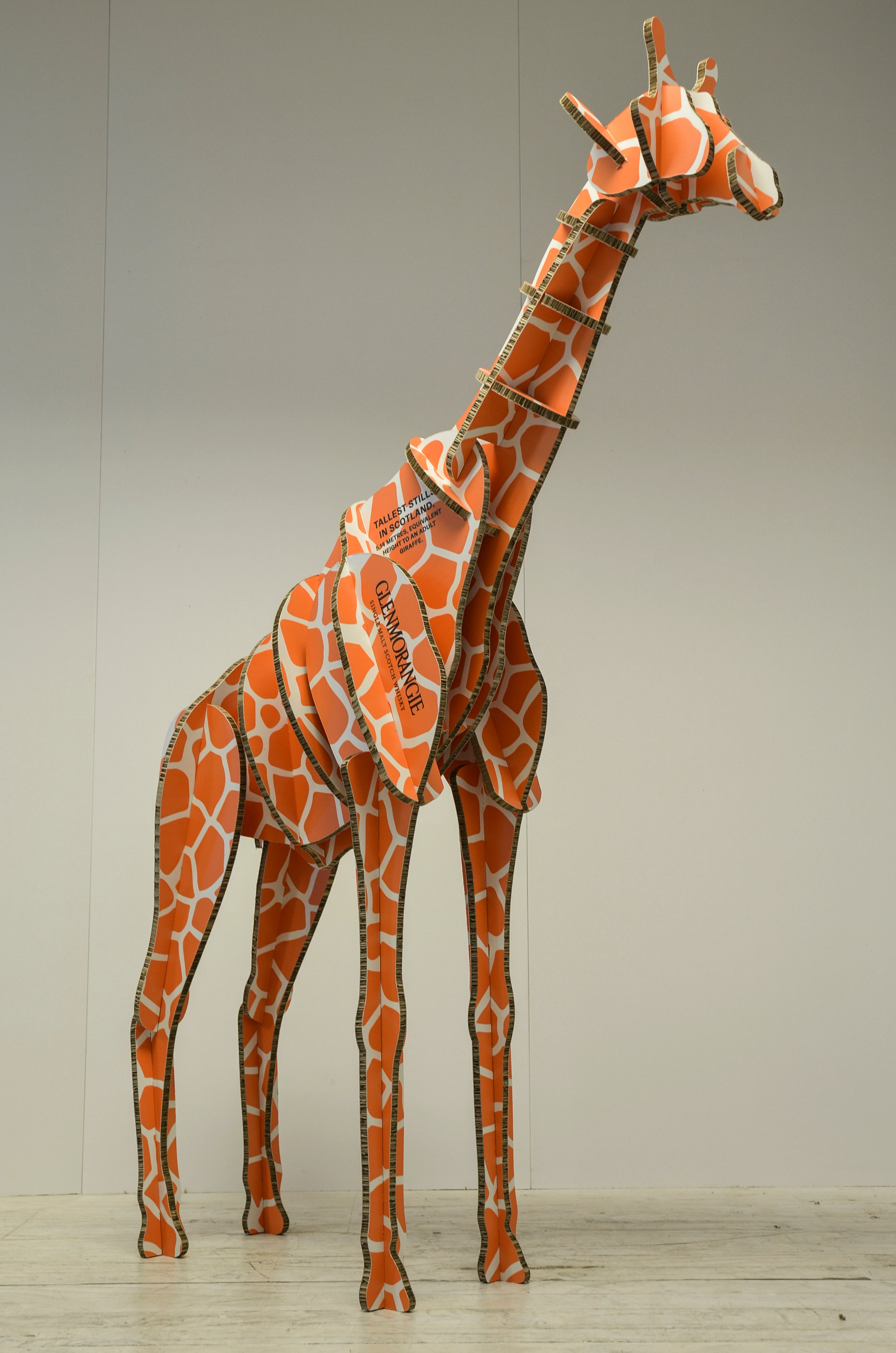 Gerry The Giraffe