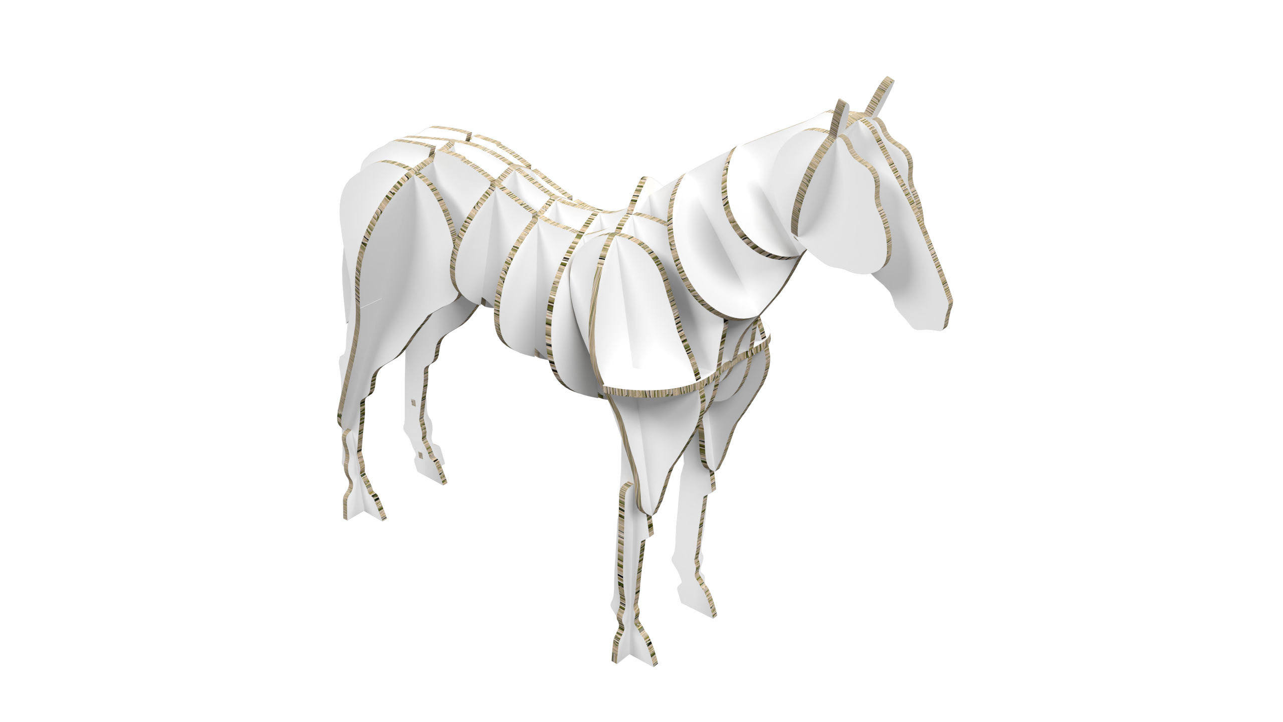 Horse Display