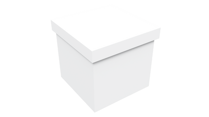 Mustard Seed Gift Box MU