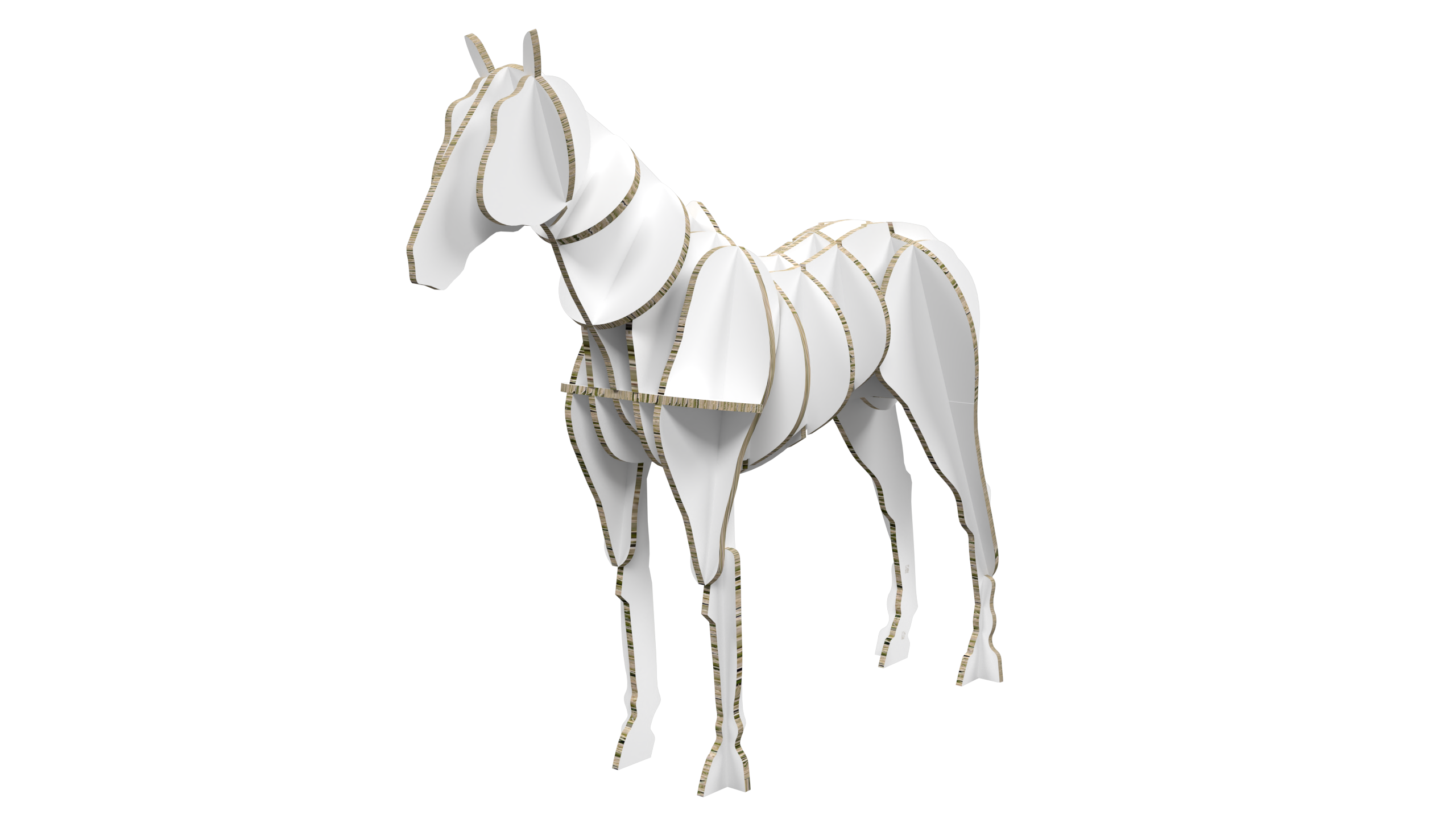 Horse Display