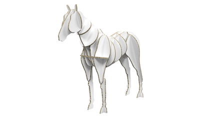 Horse Display